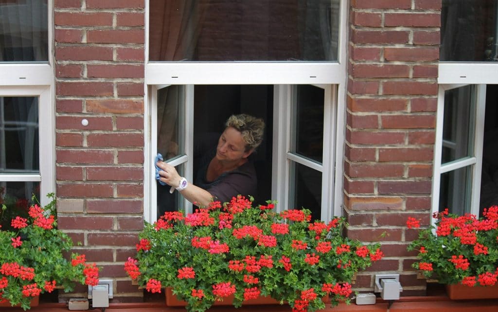 Junk Removal and House Cleaning Tips - 99insights