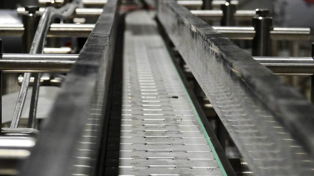 What-You-Need-to-Know-About-Conveyor-Belt-System-on-99insight